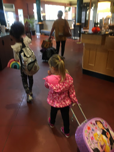 Water Park «Venetian Waterpark at Holiday Inn Hotel Maple Grove/Arbor Lakes», reviews and photos, 11801 Fountains Way, Osseo, MN 55369, USA