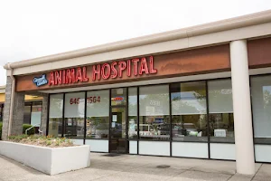 Cornell Center Animal Hospital image