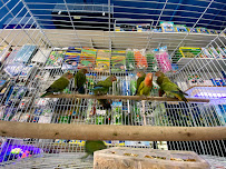 John's Feed & Pet Supplies - Photo 3 - Car repair in Huntington Park, CA, Long Beach