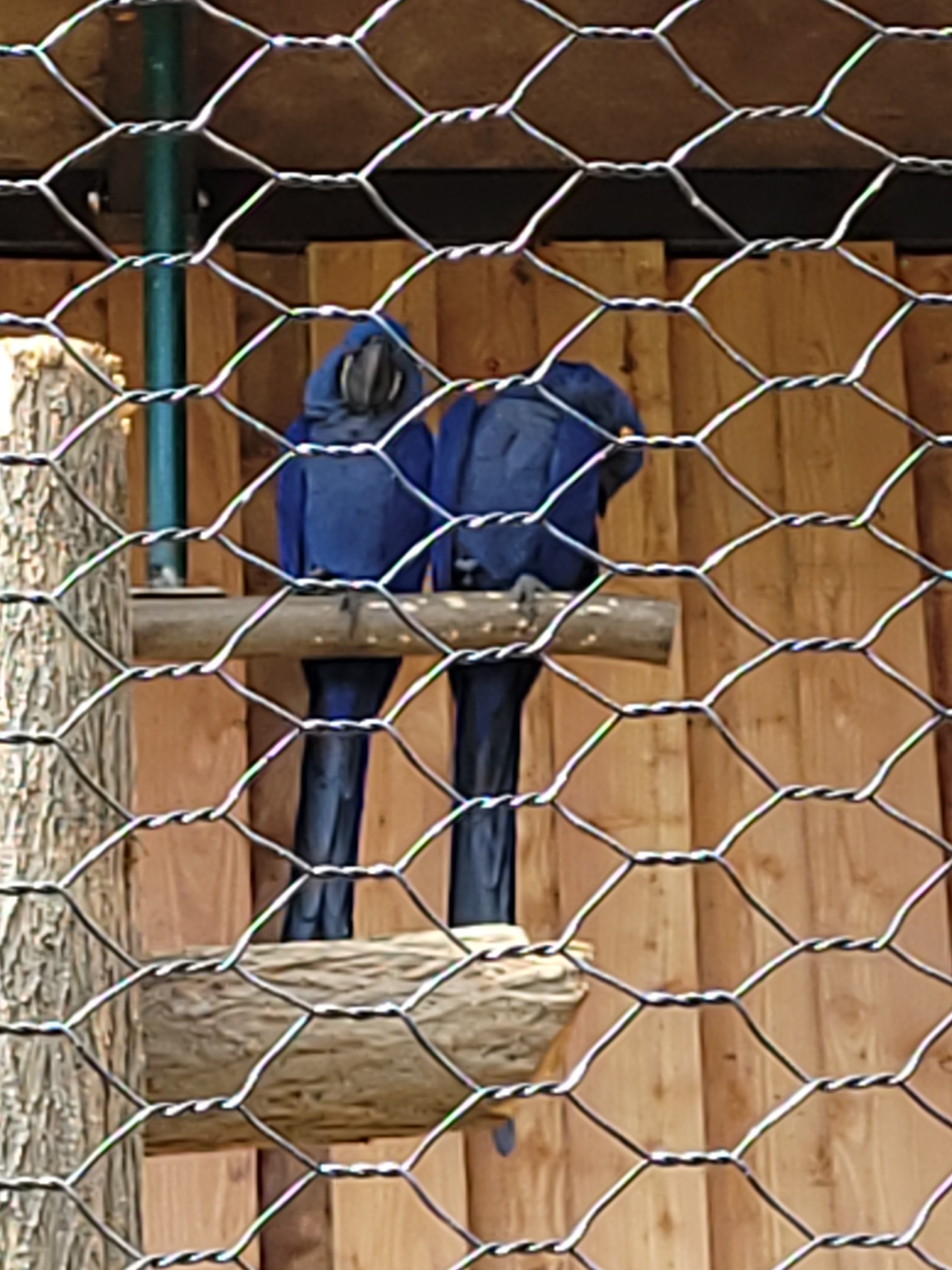 Photo n° 16 de l'avis de krystalita.t fait le 06/05/2023 à 15:24