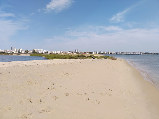 Praia do Bico do Mexilhoeiro