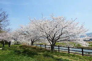 Nogata Kasenjiki Park image