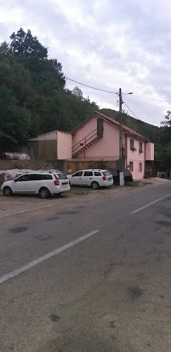 Strada Pecinișca Nr 155A, 325201, România