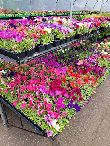 Grocery Store «Marketplace Foods», reviews and photos, 10514 Main St, Hayward, WI 54843, USA