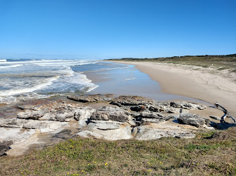 Goanna Headland