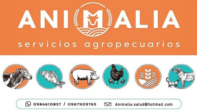 ANIMALIA Servicios Agropecuarios - Farmacia