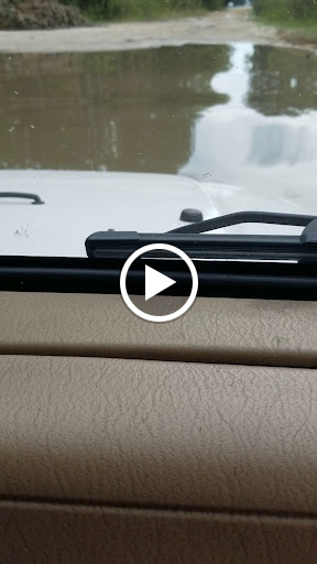 National Forest «Ocala National Forest», reviews and photos, FL-40, Silver Springs, FL 34488, USA