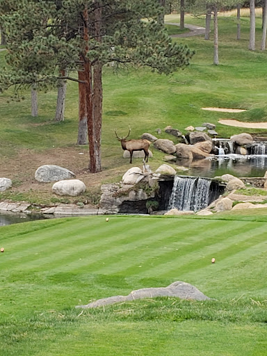 Golf Club «Hiwan Golf Club», reviews and photos, 30671 Clubhouse Ln, Evergreen, CO 80439, USA