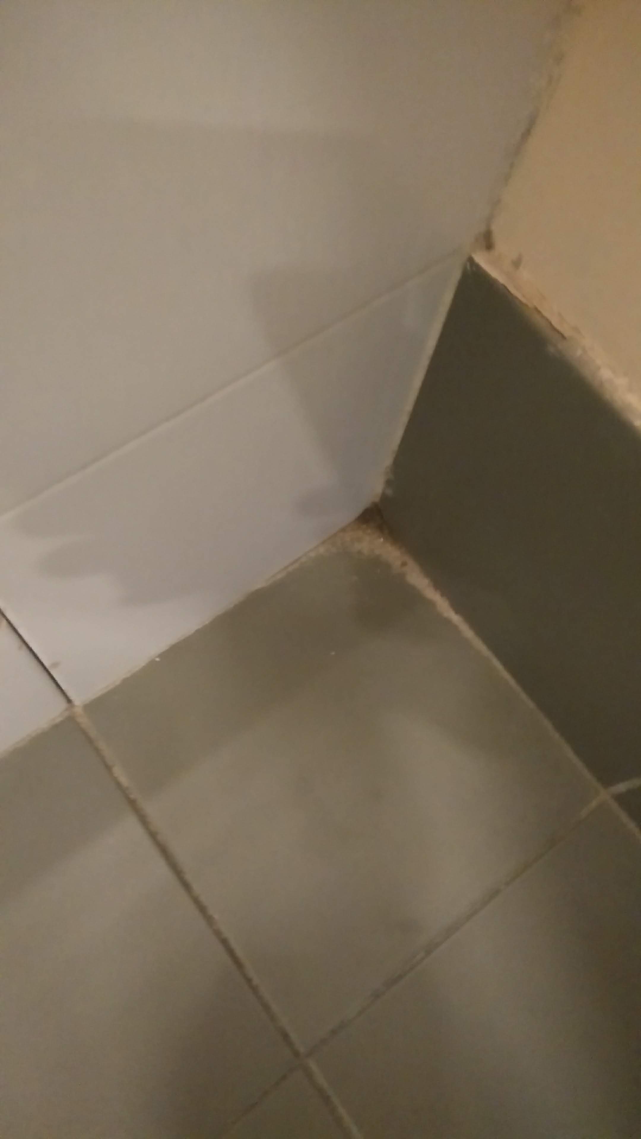 Photo n° 2 de l'avis de Arnaud.A fait le 14/10/2018 à 10:05