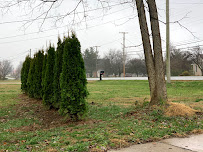 J.Earp Landscape LLC - Photo 9 - Car repair in , Louisville