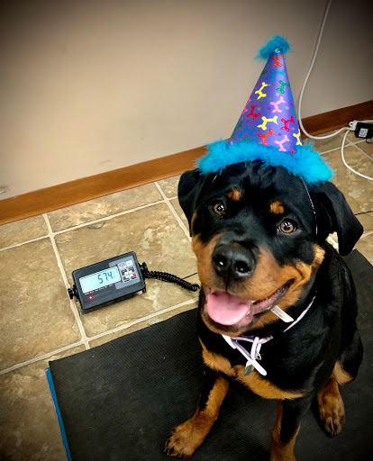 Pet Supply Store «The Natural Pet Enrichment Center», reviews and photos, 6720 Royalton Rd, North Royalton, OH 44133, USA