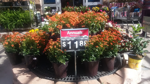 Discount Store «Walmart», reviews and photos, 2140 Bloomingdale Ave, Valrico, FL 33596, USA