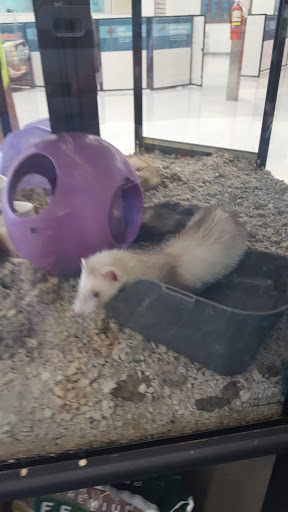 Pet Supply Store «Petco Animal Supplies», reviews and photos, 2230 Marlton Pike W #3, Cherry Hill, NJ 08002, USA