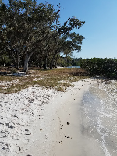 Nature Preserve «Mobbly Bayou Wilderness Preserve», reviews and photos, 423 Lafayette Blvd, Oldsmar, FL 34677, USA