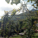 Photo n°12 de l'avis de Paola.e fait le 25/03/2019 à 12:49 sur le  Ristorante Amantes à Cannero Riviera