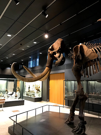 Universität Zürich Paläontologisches Institut und Museum