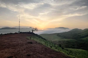 Pushpagiri reserve forest Maandalapatti image