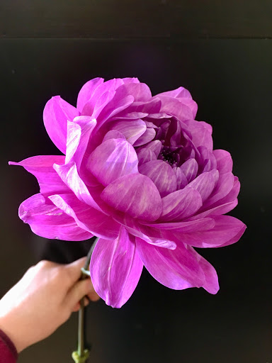 Florist «Parker Blooms», reviews and photos, 11153 S Parker Rd, Parker, CO 80134, USA