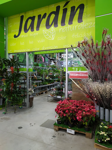 Plants stores Barranquilla