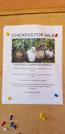 Grocery Store «Placerville Natural Foods Cooperative», reviews and photos, 535 Placerville Dr, Placerville, CA 95667, USA