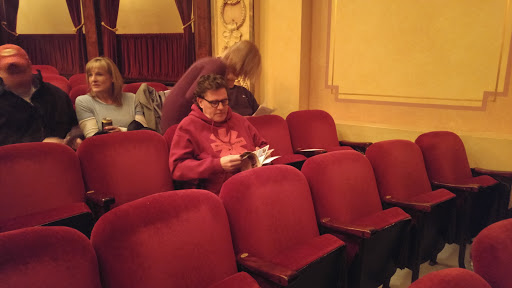 Performing Arts Theater «Sheldon Theatre», reviews and photos, 443 W 3rd St, Red Wing, MN 55066, USA