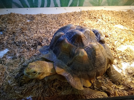 Pet Store «The Pet Zone», reviews and photos, 20 W Oak St, Pittston, PA 18640, USA