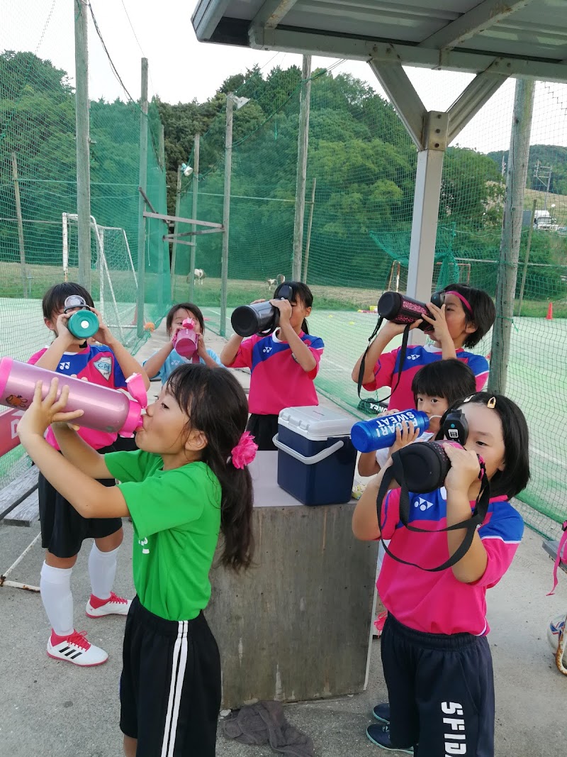 ブラジルフットサルパーク新宮 福岡県新宮町立花口角田 スポーツ施設 グルコミ