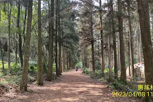 Huisun Forest Area image