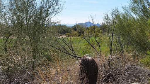 Country Club «Ancala Country Club», reviews and photos, 11700 E Vía Linda, Scottsdale, AZ 85259, USA