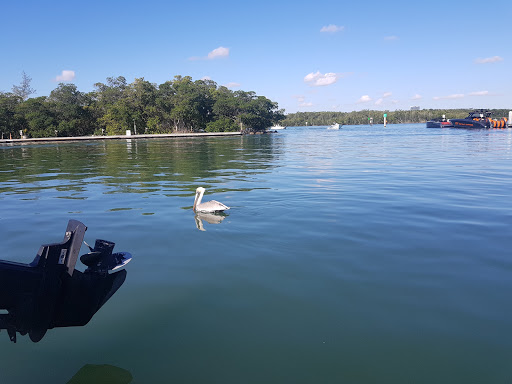 Park «Haulover Park», reviews and photos, 10800 Collins Ave, Miami Beach, FL 33154, USA