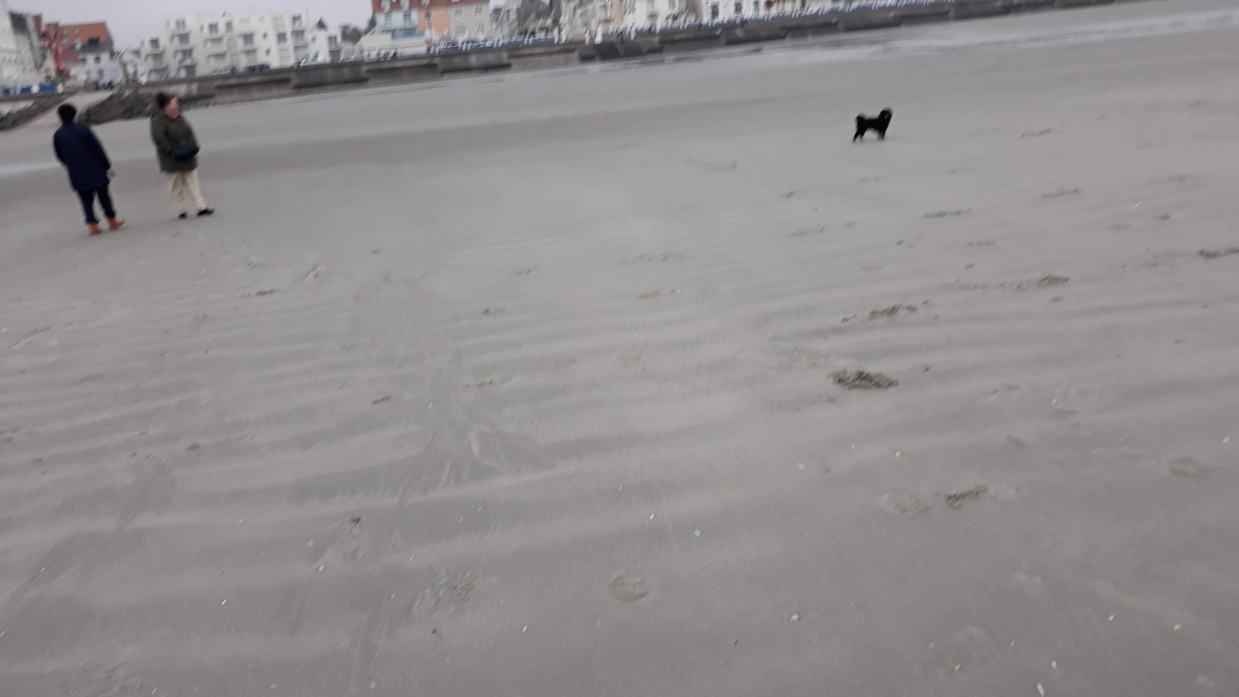 Photo n° 10 de l'avis de Annie.a fait le 23/04/2019 à 12:10