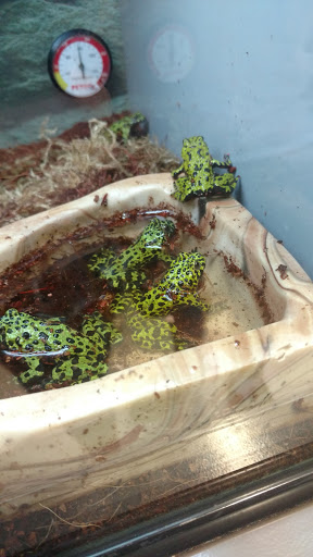 Pet Supply Store «Petco Animal Supplies», reviews and photos, 2277 Ford Pkwy, St Paul, MN 55116, USA