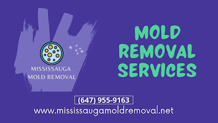 Mississauga Mold Removal