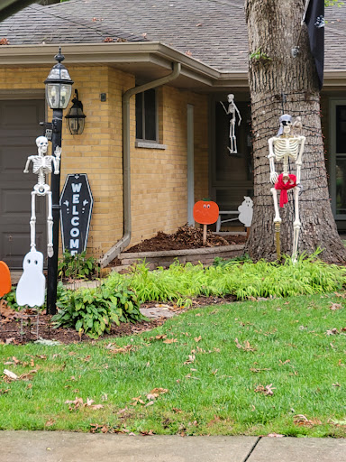 Nature Preserve «Forest Preserves of Cook County», reviews and photos, 9460 S Dee Rd, Park Ridge, IL 60068, USA