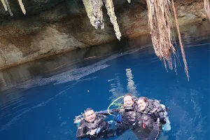 Yucatán Dive Center image