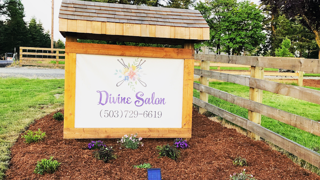 Divine Salon 97013