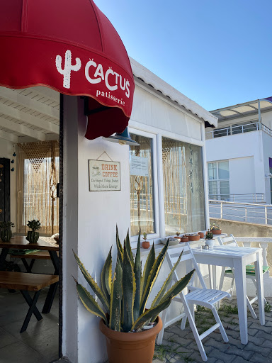 Cactus Patisserie