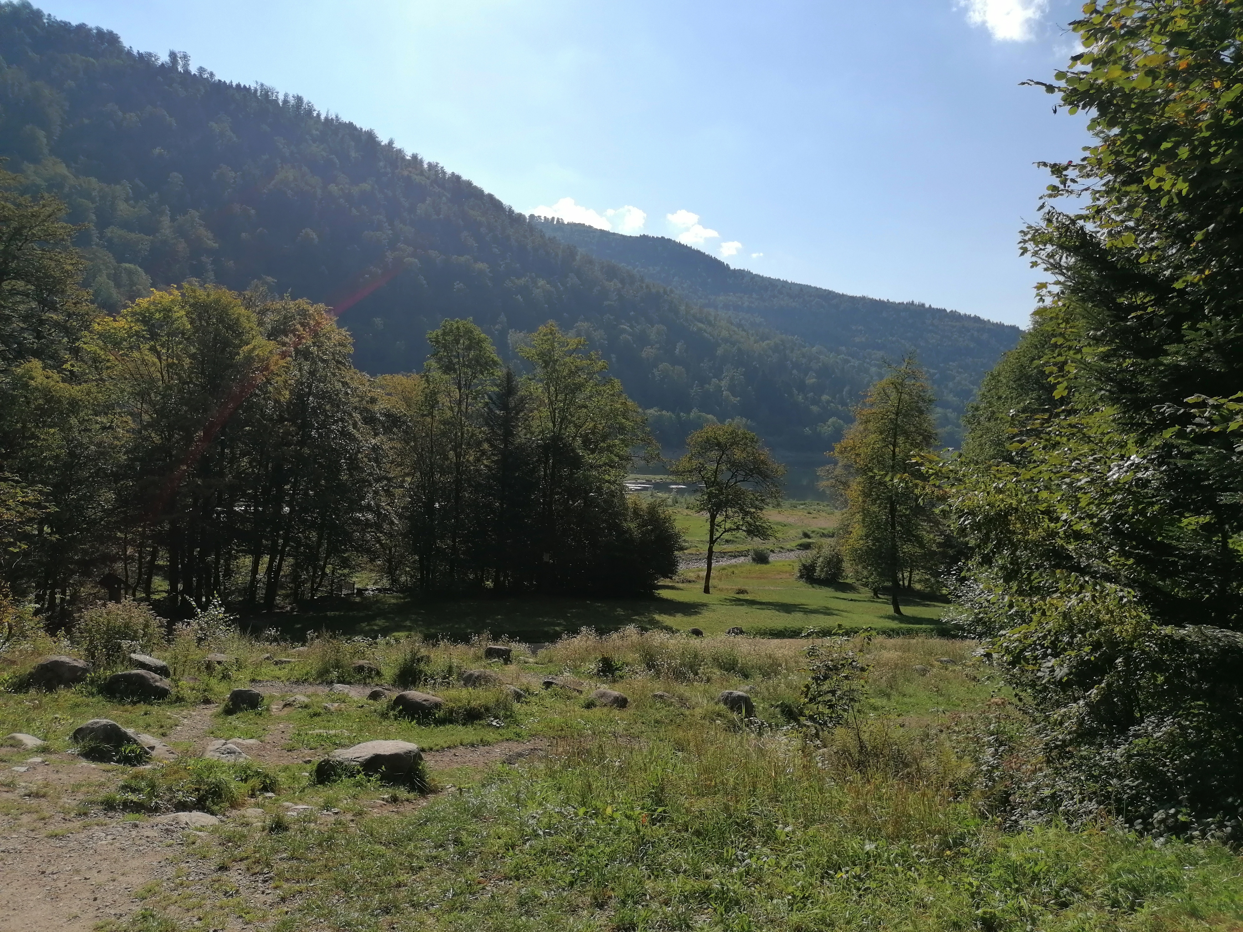 Photo n° 6 de l'avis de Bertrand.e fait le 09/09/2023 à 17:20
