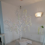 Photo n°1 de l'avis de Patty.a fait le 09/05/2022 à 10:18 sur le  I Giardini di Cesare à Ercolano