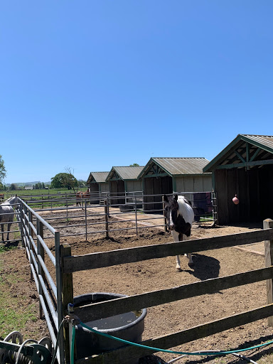 Silver Buckle Ranch