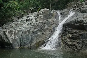 Nagpana Falls image