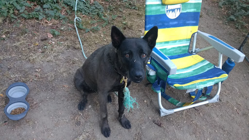 State Park «Dash Point State Park», reviews and photos, 5700 SW Dash Point Rd, Federal Way, WA 98023, USA