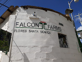 Finca Santa Mónica - Falcon Farms de Ecuador