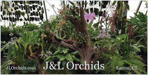 J & L Orchids