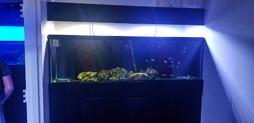 Tropical Fish Store «Aquarium Concepts», reviews and photos, 2110 E 70th St, Shreveport, LA 71105, USA