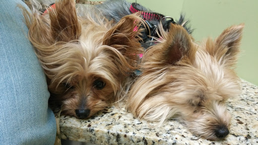 706 W Michigan Ave, Ypsilanti, MI 48197, USA