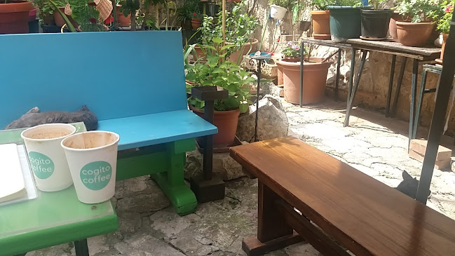 Radno vrijeme Cogito Coffee Shop / Dubrovnik Old Town
