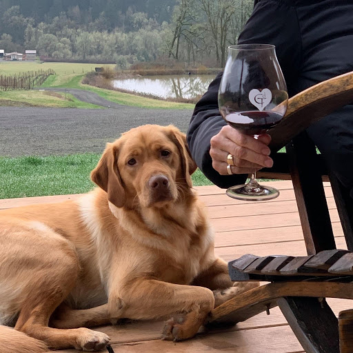 Vineyard «Coeur De Terre», reviews and photos, 21000 SW Eagle Point Rd, McMinnville, OR 97128, USA