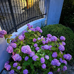 Photo n°7 de l'avis de Jul. fait le 31/07/2023 à 20:39 sur le  Travel Charme Kurhaus Binz à Binz