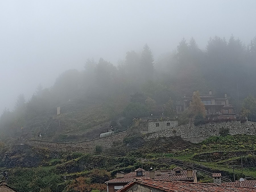 Hostal Restaurante Pastoret